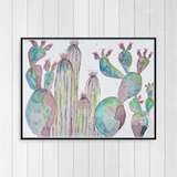 Cactus Garden