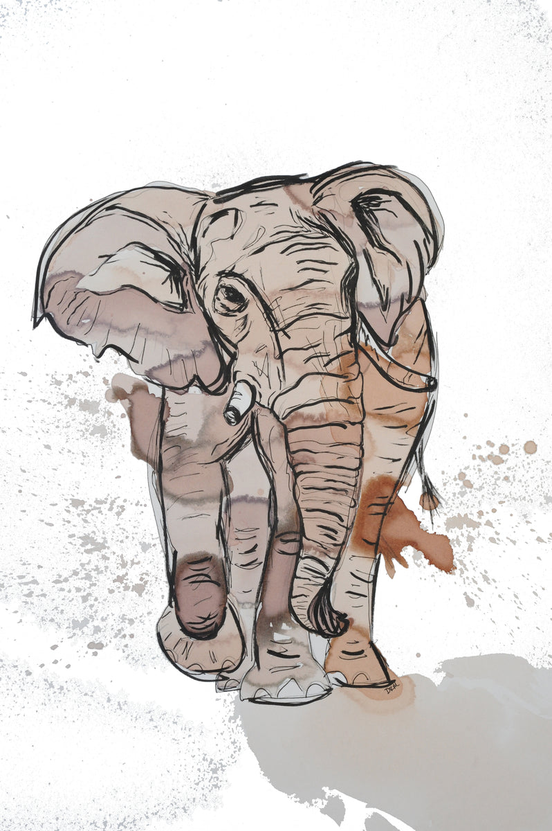 Sumatran Elephant Drawing